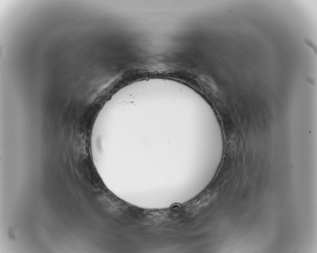 X0000093391205200710251233