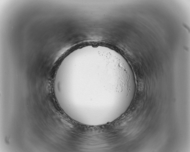 X0000093391208200710251233