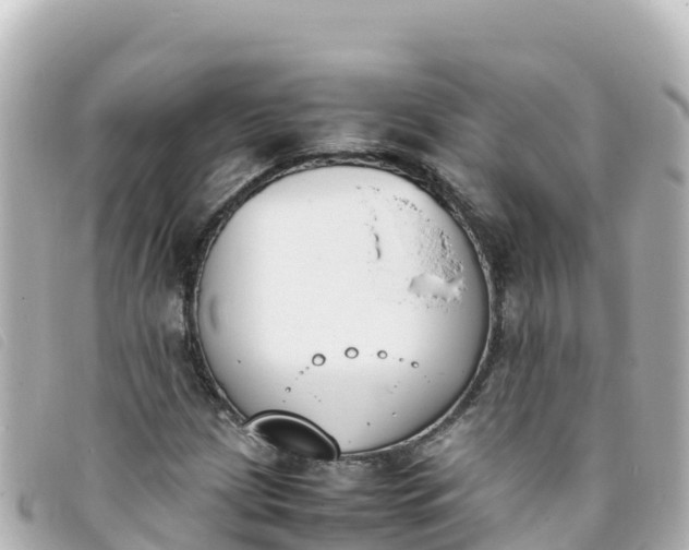 X0000093391209200710251233