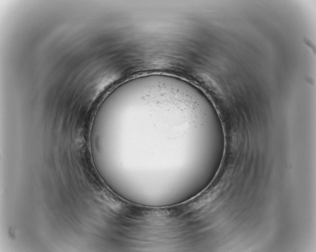 X0000093391210200710251233