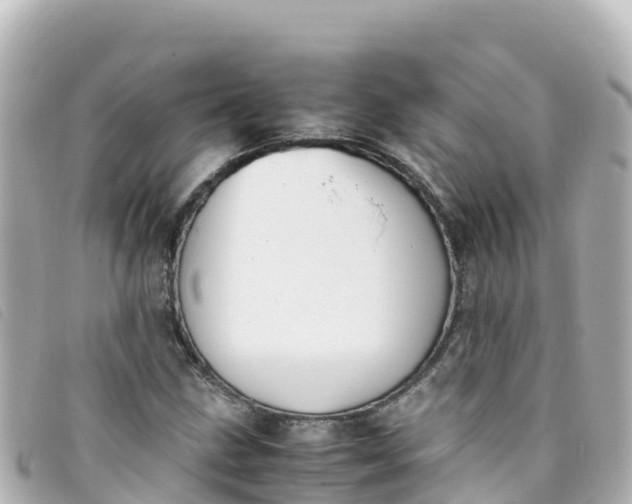 X0000093391211200710251233