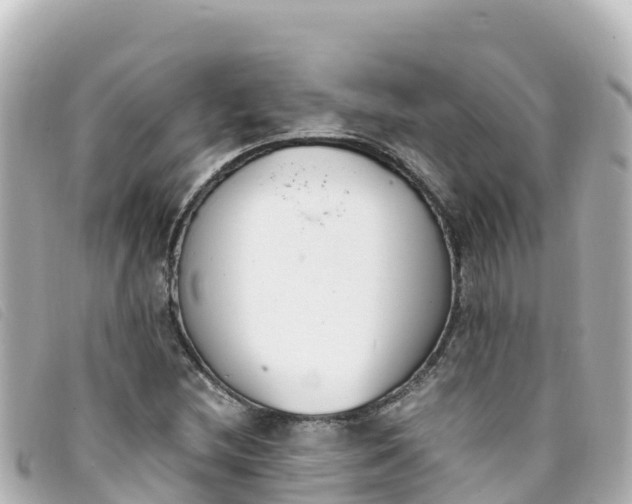 X0000093391212200710251233