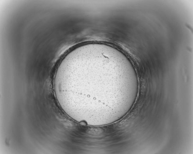 X0000093391215200710251233