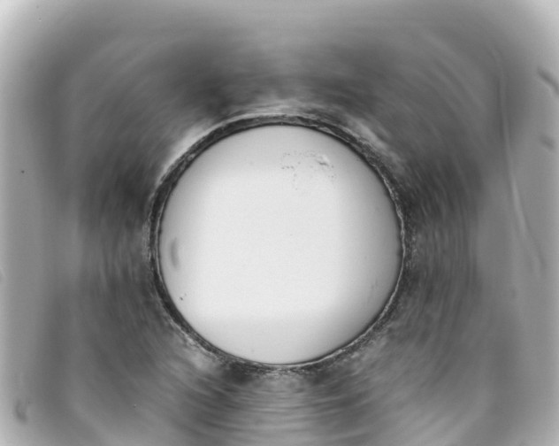 X0000093391216200710251233