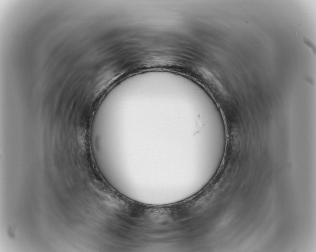 X0000093391217200710251233