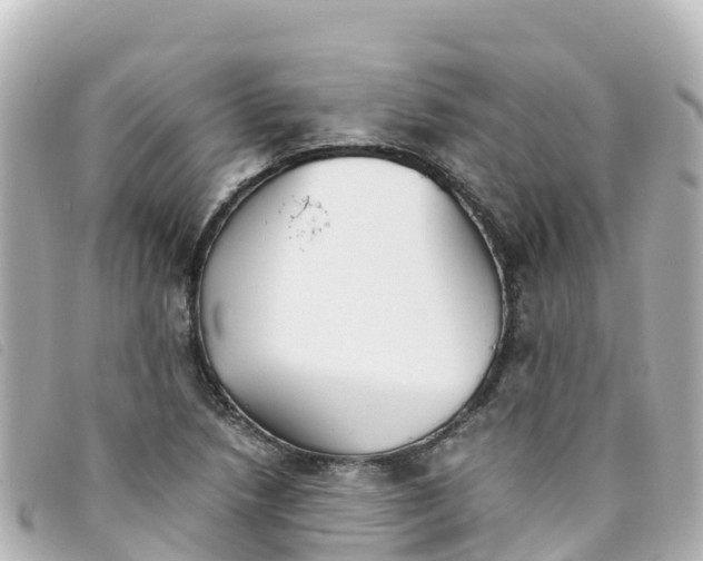 X0000093391218200710251233