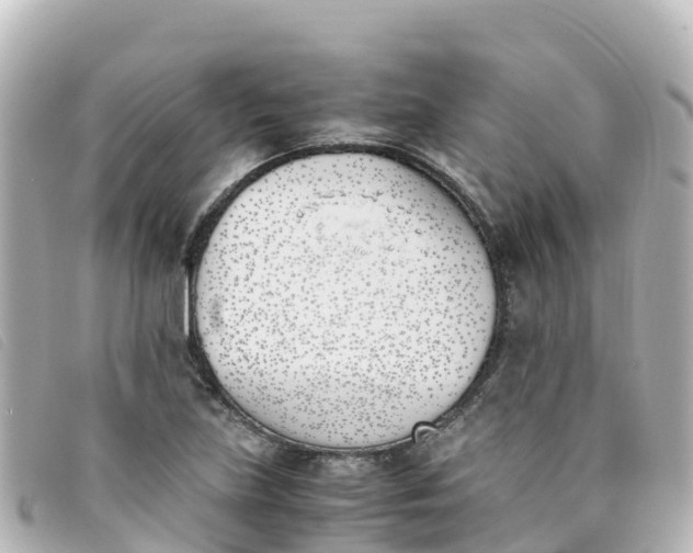 X0000093391219200710251233