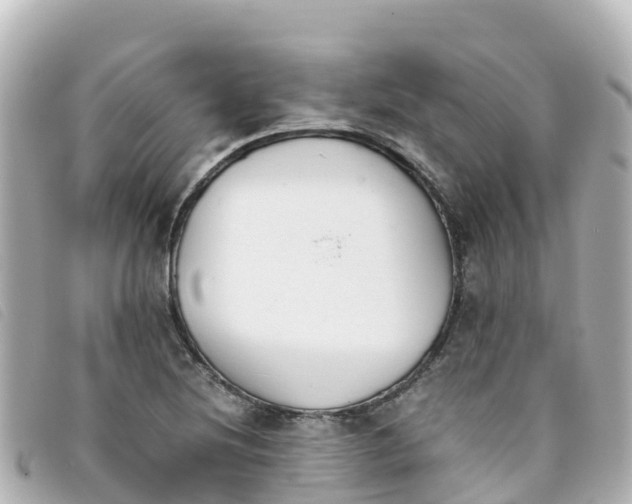 X0000093391220200710251233