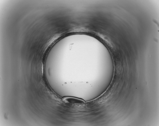 X0000093391221200710251233