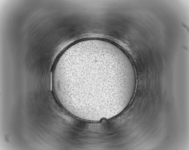 X0000093391223200710251233