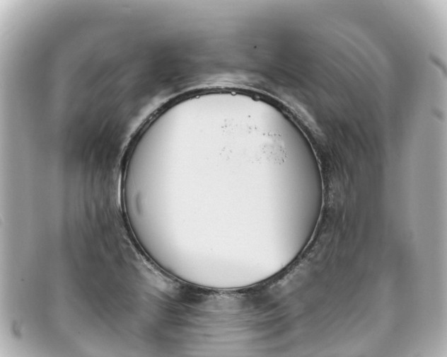 X0000093391224200710251233