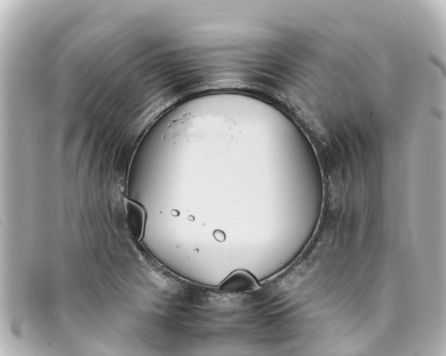 X0000093391225200710251233