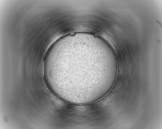 X0000093391227200710251233