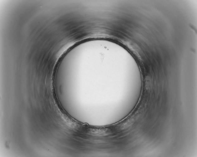 X0000093391229200710251233