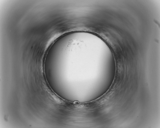 X0000093391230200710251233