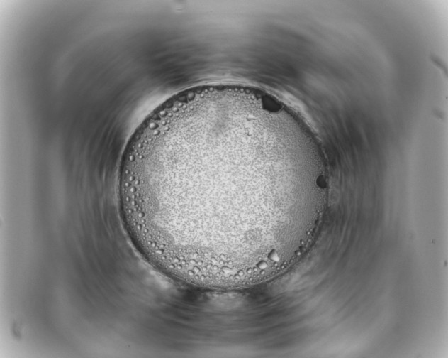 X0000093391231200710251233