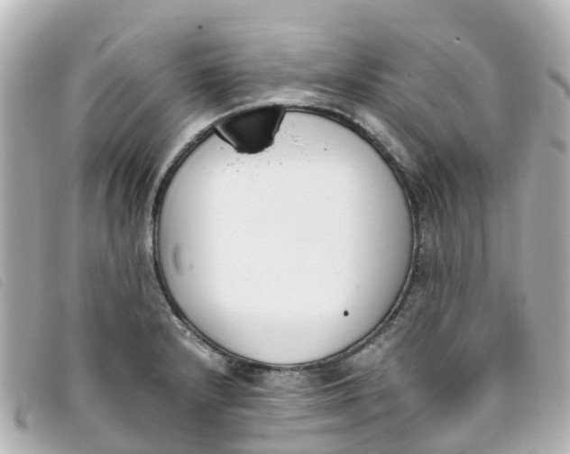 X0000093391232200710251233