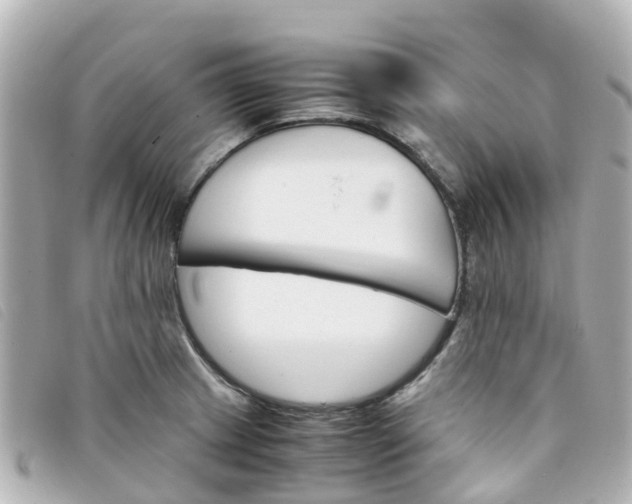 X0000093391233200710251233