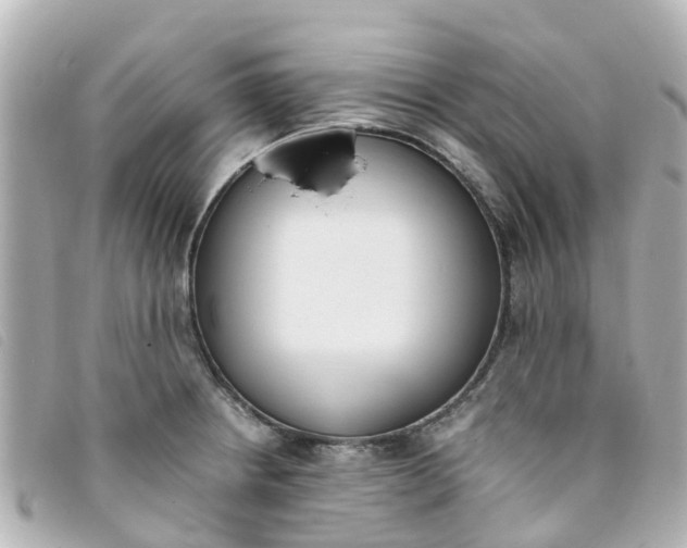 X0000093391234200710251233