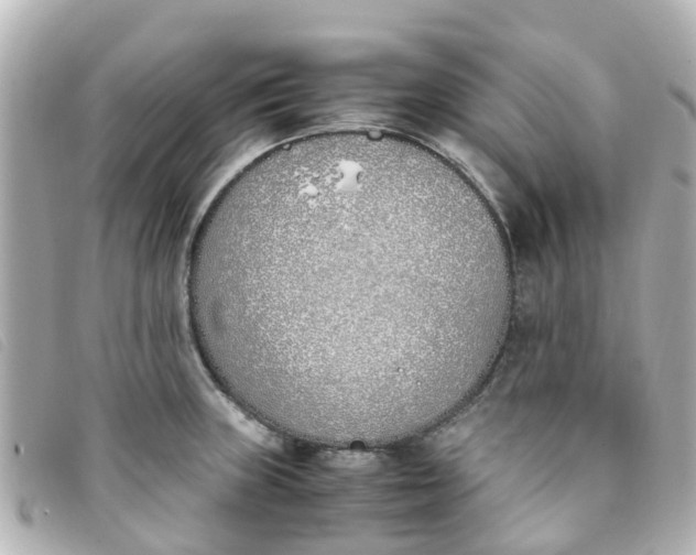 X0000093391235200710251233