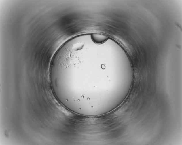 X0000093391236200710251233