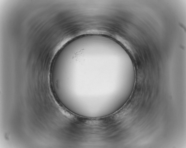 X0000093391237200710251233