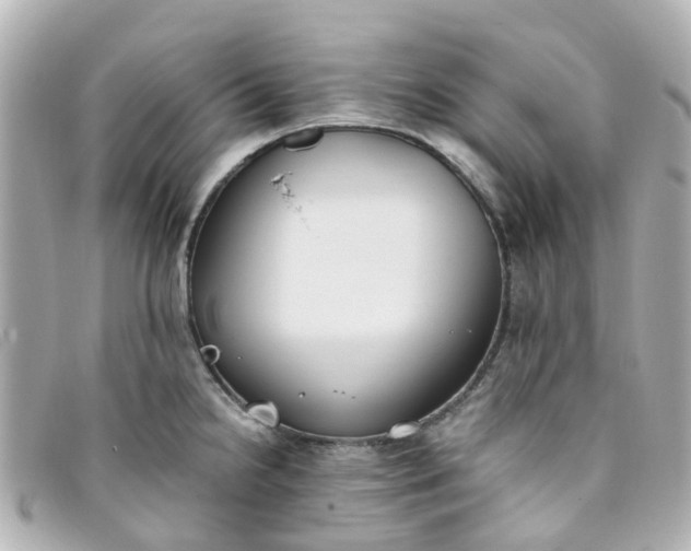 X0000093391238200710251233