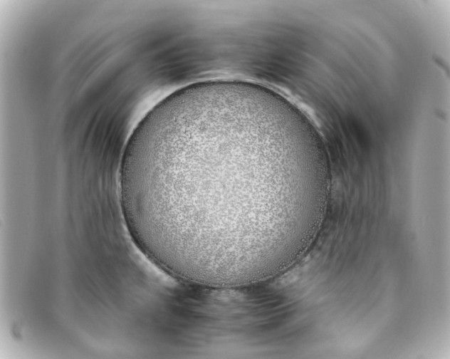 X0000093391239200710251233