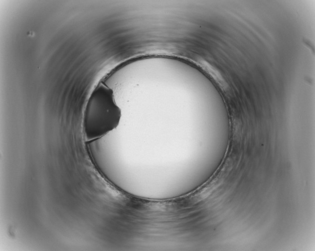 X0000093391240200710251233