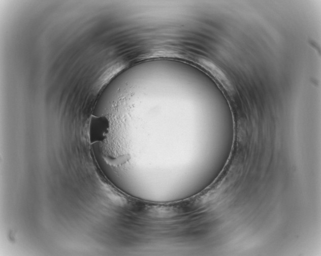 X0000093391241200710251233