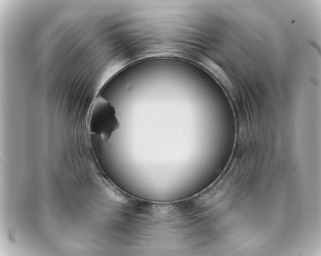 X0000093391242200710251233