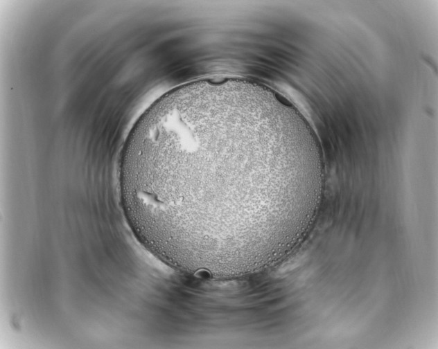 X0000093391243200710251233