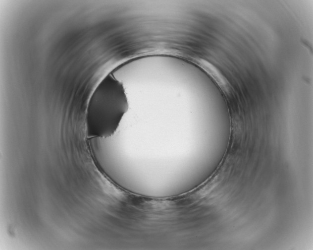 X0000093391244200710251233