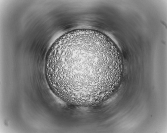 X0000093391245200710251233