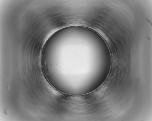 X0000093391246200710251233