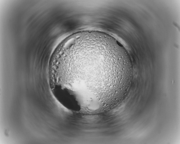 X0000093391247200710251233