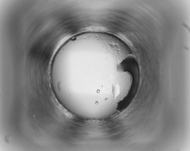 X0000093391248200710251233