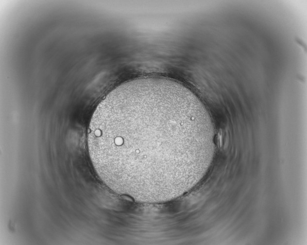 X0000093391251200710251233