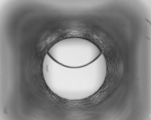 X0000093391253200710251233