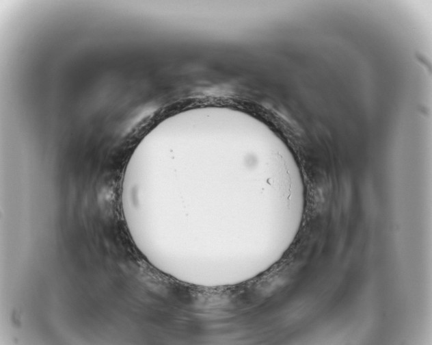 X0000093391254200710251233