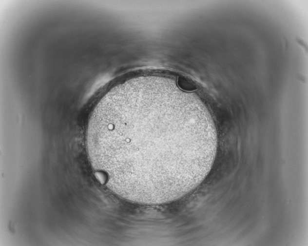 X0000093391255200710251233