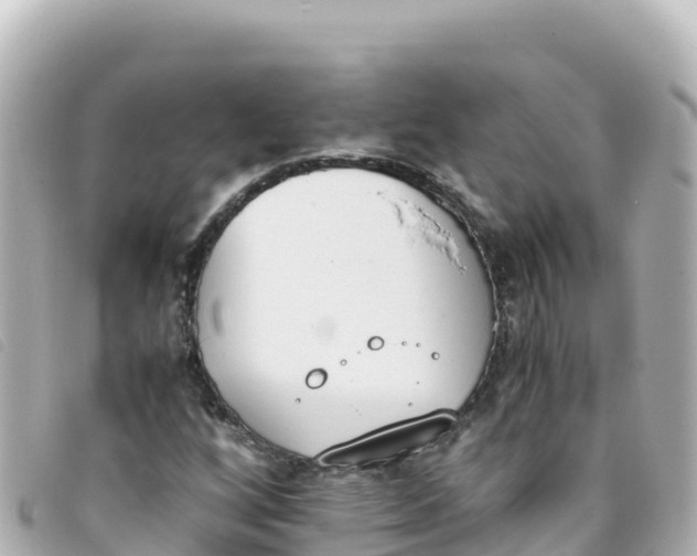 X0000093391256200710251233