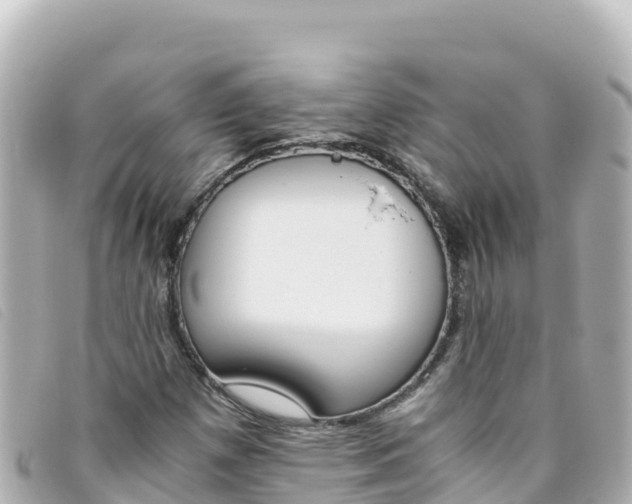 X0000093391257200710251233