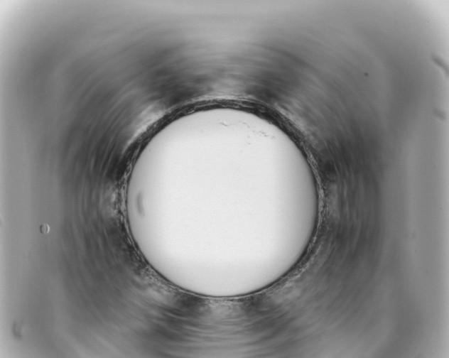 X0000093391258200710251233