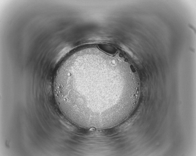 X0000093391259200710251233