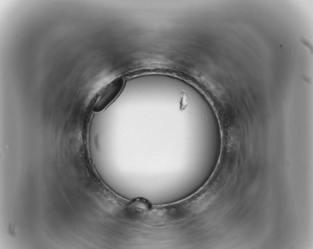 X0000093391261200710251233