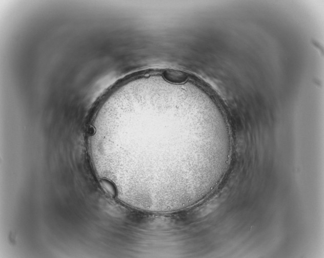 X0000093391263200710251233