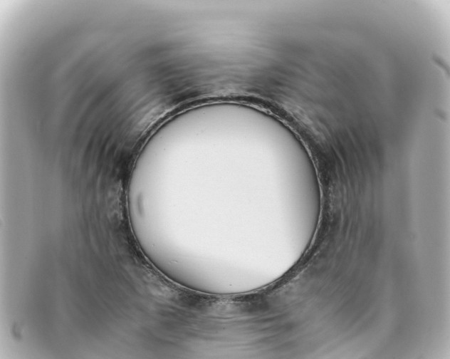 X0000093391265200710251232