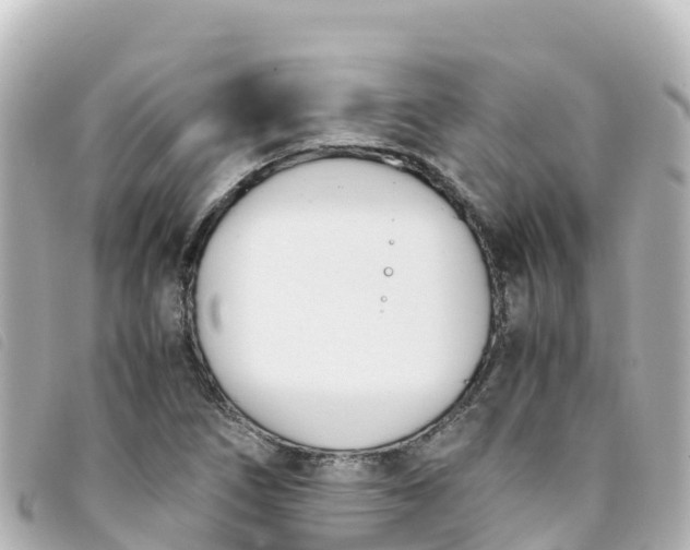 X0000093391266200710251232