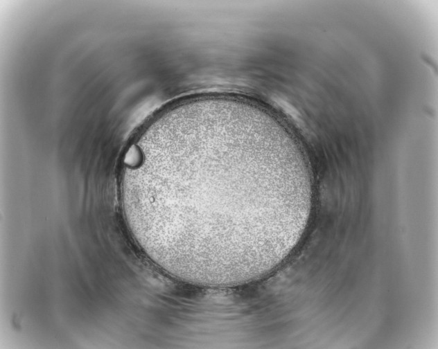 X0000093391267200710251232